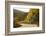 Canada, Nova Scotia, Cape Breton, Cabot Trail, in Fall Color-Patrick J^ Wall-Framed Photographic Print