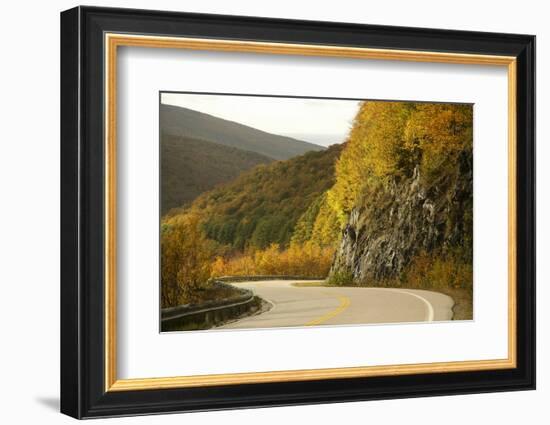 Canada, Nova Scotia, Cape Breton, Cabot Trail, in Fall Color-Patrick J^ Wall-Framed Photographic Print