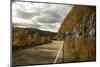 Canada, Nova Scotia, Cape Breton, Cabot Trail in Golden Fall Color-Patrick J. Wall-Mounted Photographic Print