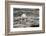 Canada, Nunavut, Repulse Bay, Polar Bear Walking across Rock Surface-Paul Souders-Framed Photographic Print