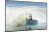 Canada, Nunavut Territory, Polar Bear on an Iceberg in Hudson Bay-Paul Souders-Mounted Photographic Print