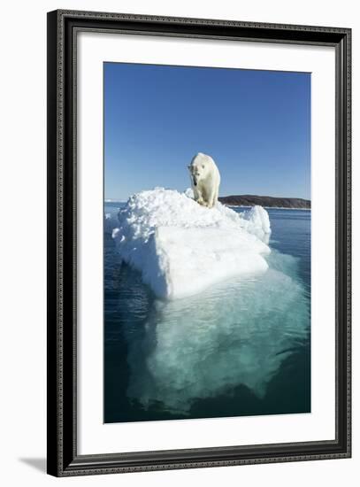 Canada, Nunavut Territory, Polar Bear on an Iceberg in Hudson Bay-Paul Souders-Framed Photographic Print