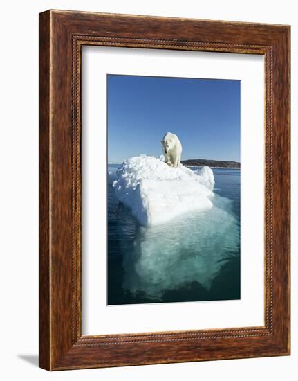 Canada, Nunavut Territory, Polar Bear on an Iceberg in Hudson Bay-Paul Souders-Framed Photographic Print