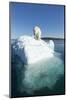 Canada, Nunavut Territory, Polar Bear on an Iceberg in Hudson Bay-Paul Souders-Mounted Photographic Print