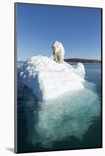 Canada, Nunavut Territory, Polar Bear on an Iceberg in Hudson Bay-Paul Souders-Mounted Photographic Print