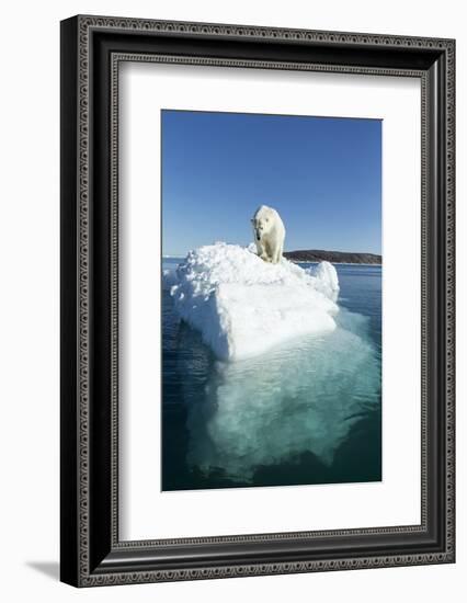 Canada, Nunavut Territory, Polar Bear on an Iceberg in Hudson Bay-Paul Souders-Framed Photographic Print