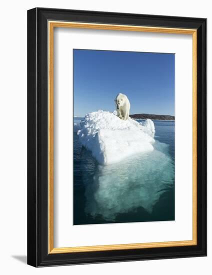 Canada, Nunavut Territory, Polar Bear on an Iceberg in Hudson Bay-Paul Souders-Framed Photographic Print