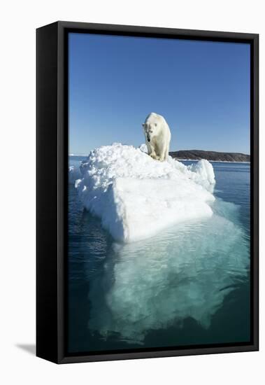 Canada, Nunavut Territory, Polar Bear on an Iceberg in Hudson Bay-Paul Souders-Framed Premier Image Canvas