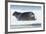 Canada, Nunavut Territory, Repulse Bay, Bearded Seal Resting in Summer Sun on Sea Ice on Hudson Bay-Paul Souders-Framed Photographic Print