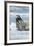 Canada, Nunavut Territory, Repulse Bay, Bearded Seal Resting in Summer Sun on Sea Ice on Hudson Bay-Paul Souders-Framed Photographic Print