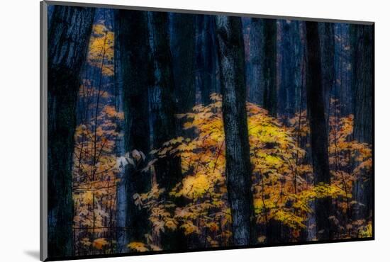 Canada, Ontario. Autumn Abstract of Forest-Bill Young-Mounted Photographic Print