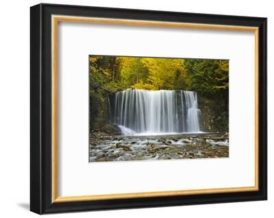 Canada Ontario Boyne River At Hoggs Falls In Autumn Photographic Print Jaynes Gallery Art Com Canada Ontario Boyne River At Hoggs Falls In Autumn Photographic Print Jaynes Gallery Art Com
