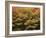 Canada, Ontario, Gravenhurst, Forest in Autumn-Mike Grandmaison-Framed Photographic Print