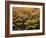 Canada, Ontario, Gravenhurst, Forest in Autumn-Mike Grandmaison-Framed Photographic Print