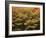 Canada, Ontario, Gravenhurst, Forest in Autumn-Mike Grandmaison-Framed Photographic Print