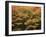 Canada, Ontario, Gravenhurst, Forest in Autumn-Mike Grandmaison-Framed Photographic Print