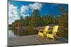 Canada, Ontario, Grundy Lake Provincial Park. Muskoka chairs on lake dock.-Jaynes Gallery-Mounted Photographic Print