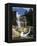 Canada, Ontario, Hamilton, Webster's Falls-Mike Grandmaison-Framed Premier Image Canvas