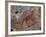 Canada, Ontario, Lake Superior Park, Agawa Rock Pictographs-Frank Zurey-Framed Photographic Print