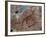 Canada, Ontario, Lake Superior Park, Agawa Rock Pictographs-Frank Zurey-Framed Photographic Print