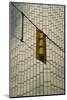 Canada, Ontario, Toronto. Streetlight rear and building facade-Michele Molinari-Mounted Photographic Print