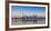 Canada, Ontario, Toronto, View of Cn Tower and City Skyline-Jane Sweeney-Framed Photographic Print