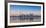 Canada, Ontario, Toronto, View of Cn Tower and City Skyline-Jane Sweeney-Framed Photographic Print