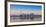 Canada, Ontario, Toronto, View of Cn Tower and City Skyline-Jane Sweeney-Framed Photographic Print