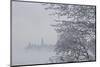 Canada, Ottawa, Ottawa River. Parliament Buildings Seen Through Fog-Bill Young-Mounted Photographic Print