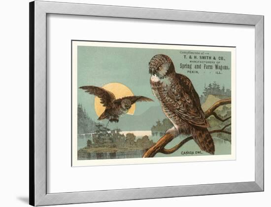 Canada Owls-null-Framed Art Print