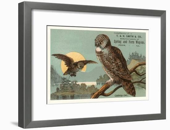 Canada Owls-null-Framed Art Print