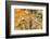 Canada, Quebec, Forillon National Park. Pebbles on Seaweed-Jaynes Gallery-Framed Photographic Print