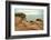 Canada, Quebec, Iles-de-la-Madeleine. Red cliffs and ocean-Michele Molinari-Framed Photographic Print