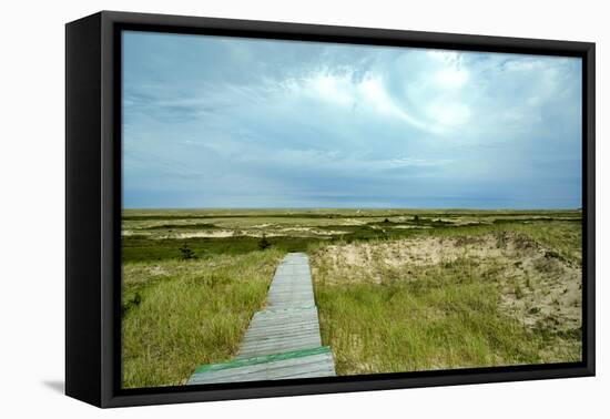 Canada, Quebec, Iles-de-la-Madeleine. Sandy dunes and walkway-Michele Molinari-Framed Premier Image Canvas