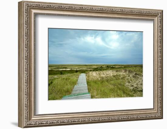 Canada, Quebec, Iles-de-la-Madeleine. Sandy dunes and walkway-Michele Molinari-Framed Photographic Print