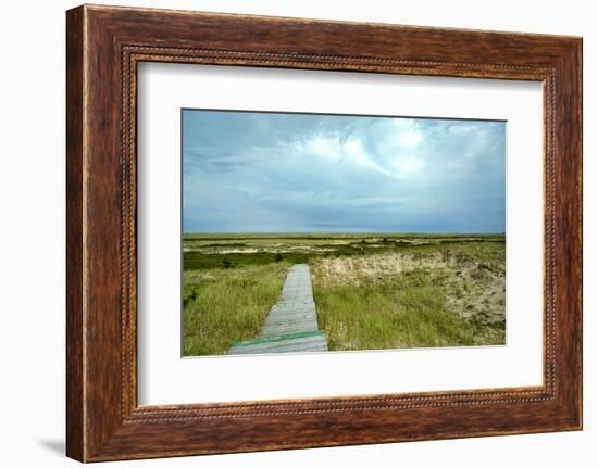 Canada, Quebec, Iles-de-la-Madeleine. Sandy dunes and walkway-Michele Molinari-Framed Photographic Print