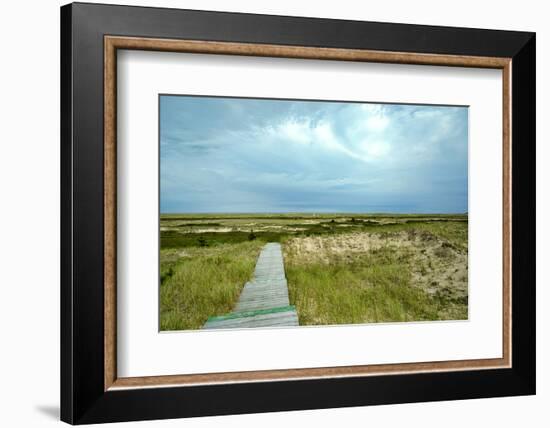 Canada, Quebec, Iles-de-la-Madeleine. Sandy dunes and walkway-Michele Molinari-Framed Photographic Print