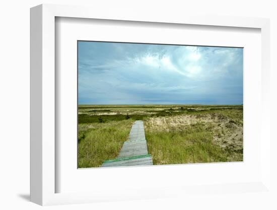 Canada, Quebec, Iles-de-la-Madeleine. Sandy dunes and walkway-Michele Molinari-Framed Photographic Print