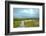 Canada, Quebec, Iles-de-la-Madeleine. Sandy dunes and walkway-Michele Molinari-Framed Photographic Print