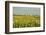 Canada, Quebec, Iles-de-la-Madeleine-Michele Molinari-Framed Photographic Print