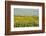 Canada, Quebec, Iles-de-la-Madeleine-Michele Molinari-Framed Photographic Print