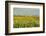 Canada, Quebec, Iles-de-la-Madeleine-Michele Molinari-Framed Photographic Print