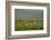 Canada, Quebec, Iles-de-la-Madeleine-Michele Molinari-Framed Photographic Print