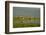 Canada, Quebec, Iles-de-la-Madeleine-Michele Molinari-Framed Photographic Print