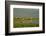 Canada, Quebec, Iles-de-la-Madeleine-Michele Molinari-Framed Photographic Print