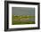 Canada, Quebec, Iles-de-la-Madeleine-Michele Molinari-Framed Photographic Print