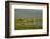 Canada, Quebec, Iles-de-la-Madeleine-Michele Molinari-Framed Photographic Print