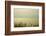 Canada, Quebec, Iles-de-la-Madeleine-Michele Molinari-Framed Photographic Print