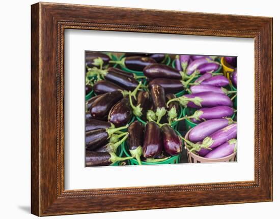 Canada, Quebec, Montreal. Little Italy, Marche Jean Talon Market, aubergines-Walter Bibikow-Framed Photographic Print