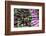 Canada, Quebec, Montreal. Little Italy, Marche Jean Talon Market, aubergines-Walter Bibikow-Framed Photographic Print